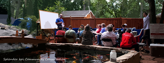 Koi Pond Consultations