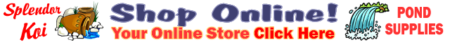 Shop For Koi Supplies